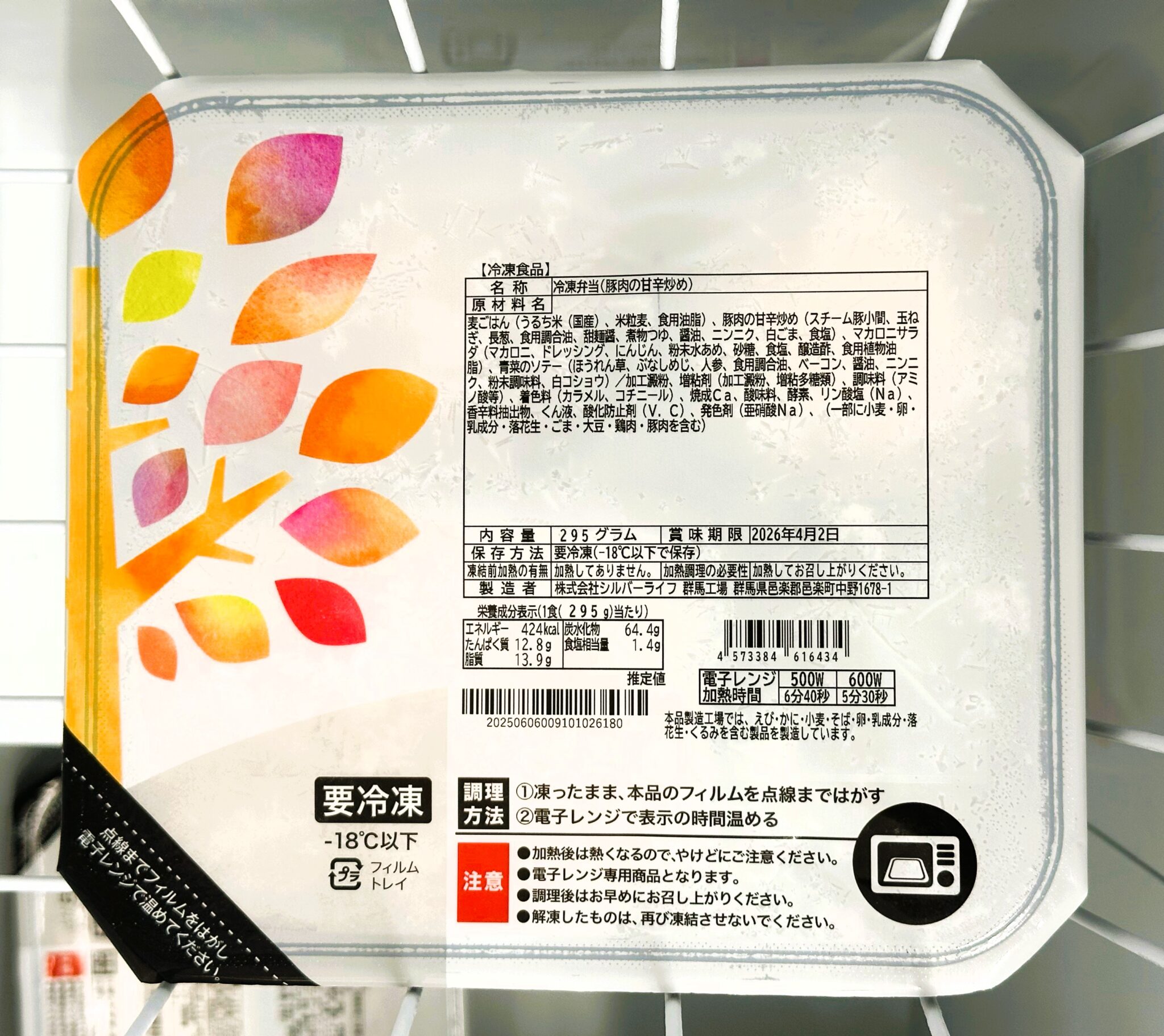 テラきゃんでの昼食 – テラきゃん